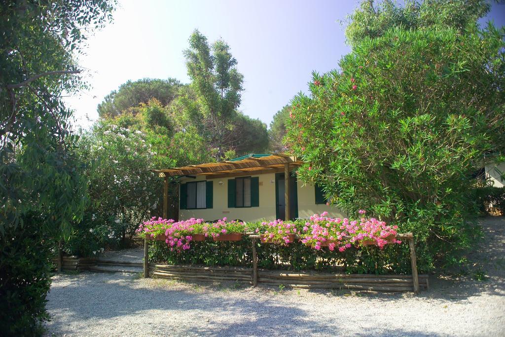 Acquaviva Village Camping Portoferraio Oda fotoğraf